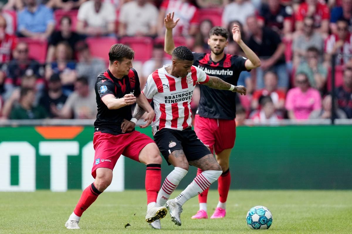 野区主权 野区主权